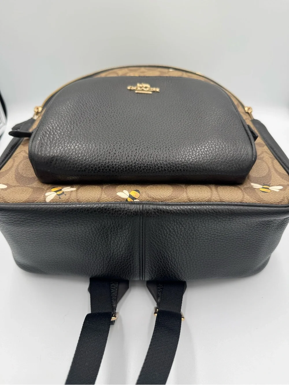 COACH Court Signature Canvas Backpack with Bee Print 🐝